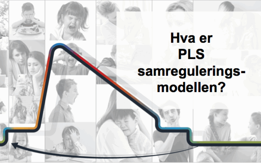 Hva er PLS samreguleringsmodellen?