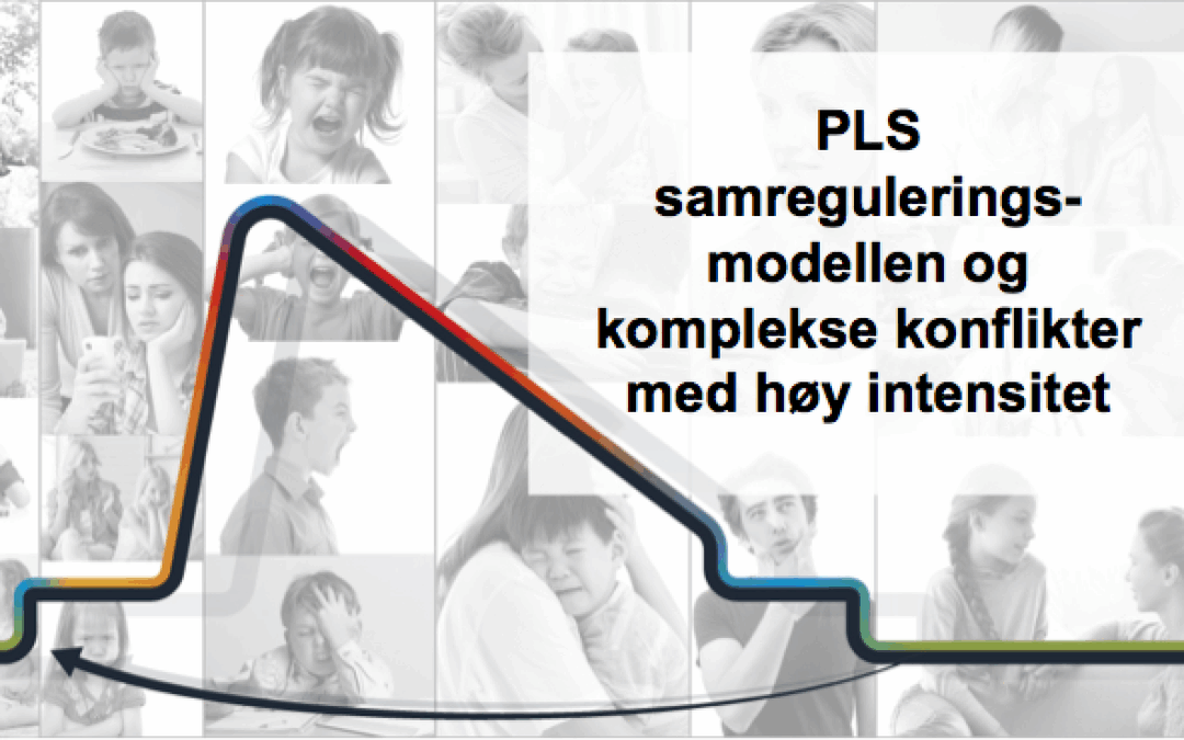 PLS samreguleringsmodellen og komplekse situasjoner med høy intensitet.