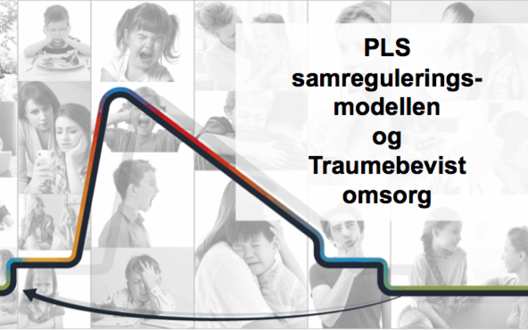 PLS samreguleringsmodellen og Traumebevist omsorg