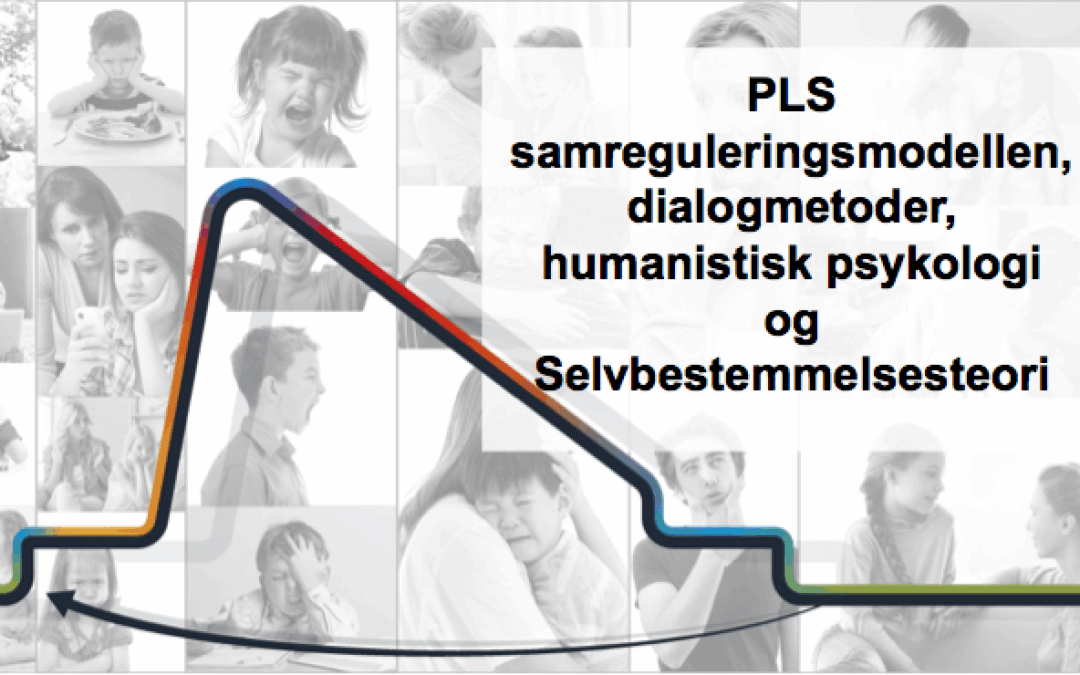 PLS samreguleringsmodellen, dialogmetoder, humanistisk psykologi og Self Determination Theory.