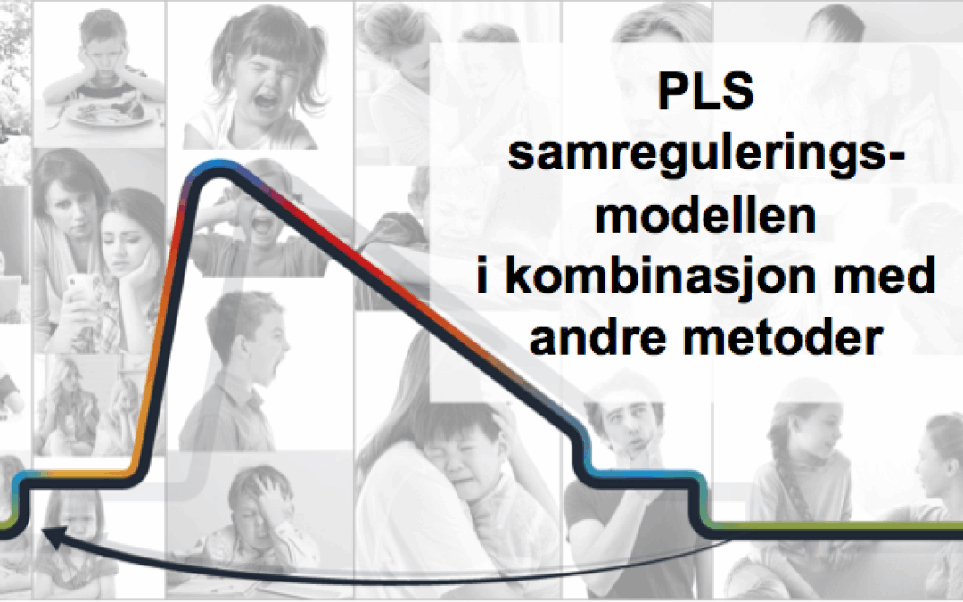 PLS samreguleringsmodellen i kombinasjon med andre metoder.