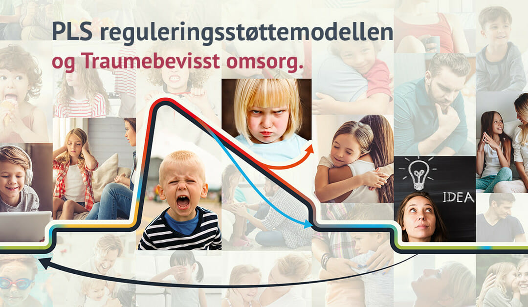 PLS reguleringsstøttemodellen og Traumebevisst omsorg