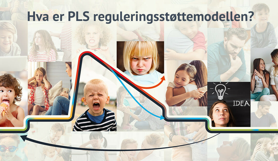 Hva er PLS reguleringsstøttemodellen?