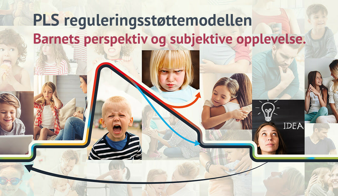 Barnets perspektiv og subjektive opplevelse i PLS reguleringsstøttemodellen og De utrolige årene.