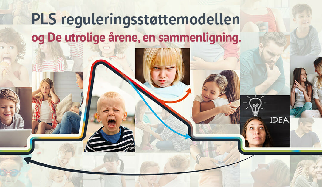 PLS reguleringsstøttemodellen og De utrolige årene.