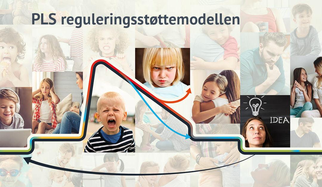 Jesper Juul om PLS reguleringsstøttemodellen