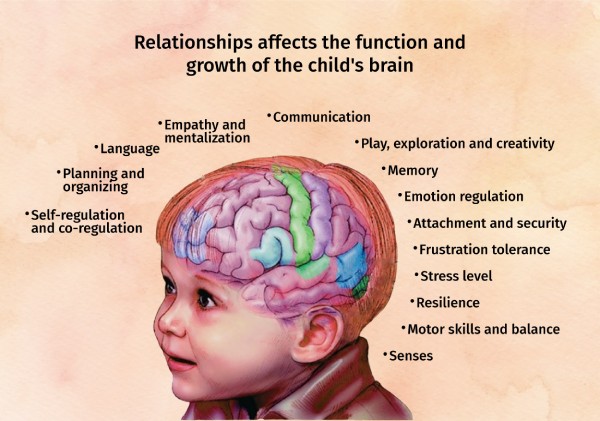 Relationships affects the functions of the brains