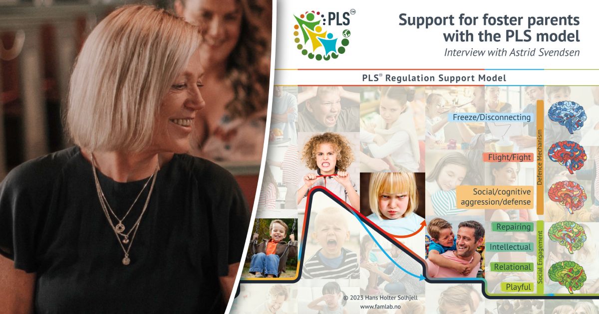 Support for Foster Parents with the PLS regulation Support Model