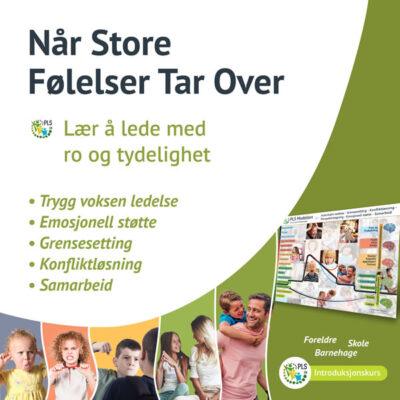 Introduksjonskurs til PLS-modellen for autoritativ voksenledelse, grensesetting, konfliktløsning og reguleringsstøtte