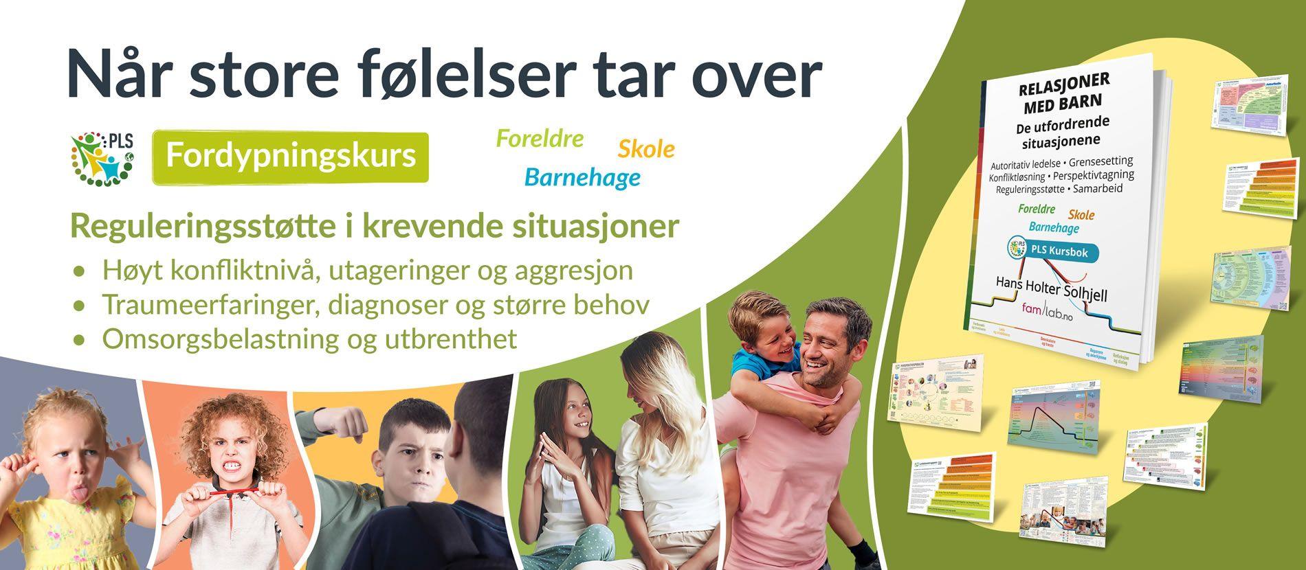 Konfliktlosning og reguleringsstotte praktisk fordypningskurs